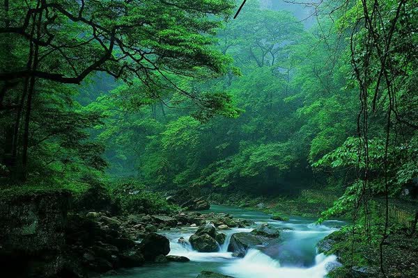 十里画廊攻略：小火车与造型峰一条线看全
