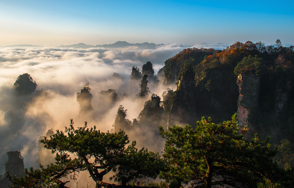[Galeri Gambar Indah] Sempadan Dunia Zhangjiajie, Sumber Teras Wulingyuan