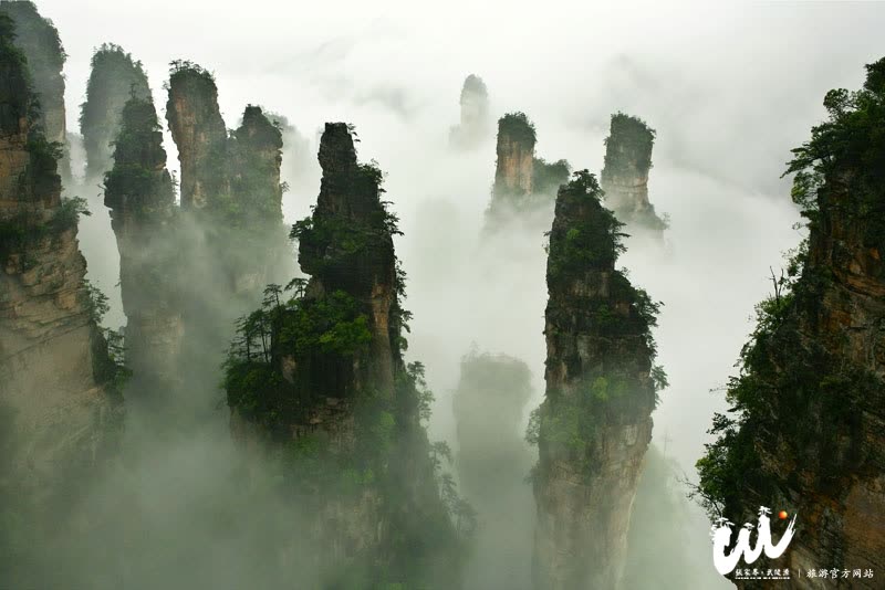 Four indicators of tourism reception in Wulingyuan, Zhangjiajie hit record highs