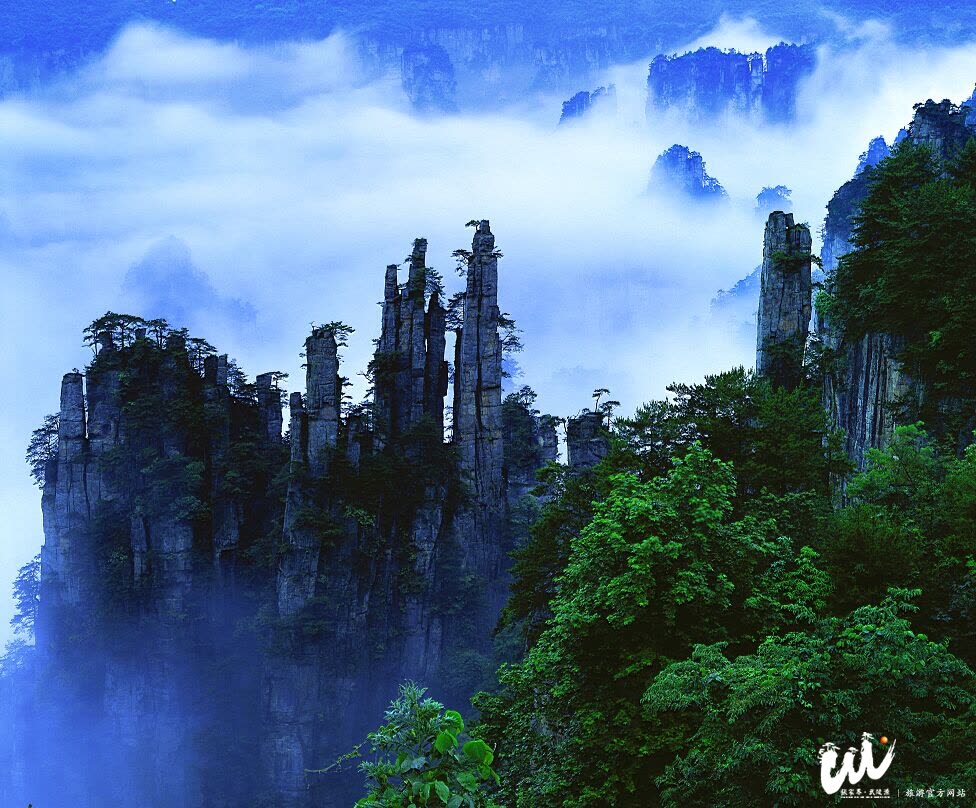 Wulingyuan District strengthens its own construction and strives to shape a "five-type" government