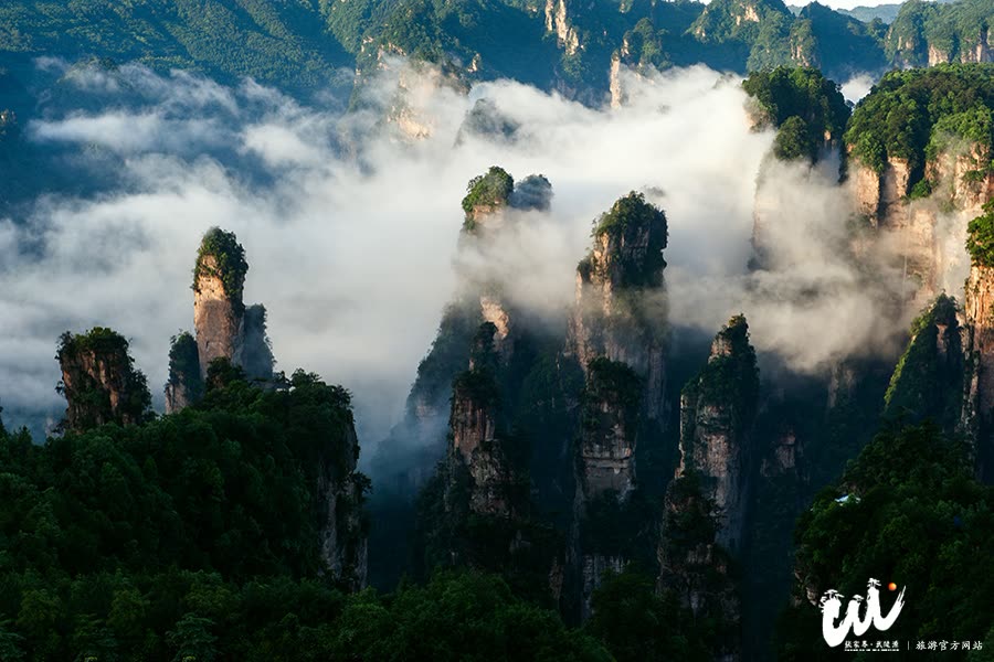 Wulingyuan strictly controls forest fire prevention to ensure tourism safety