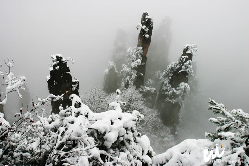 Wulingyuan, the core scenic spot in Zhangjiajie, received a record high during the Spring Festival Golden Week