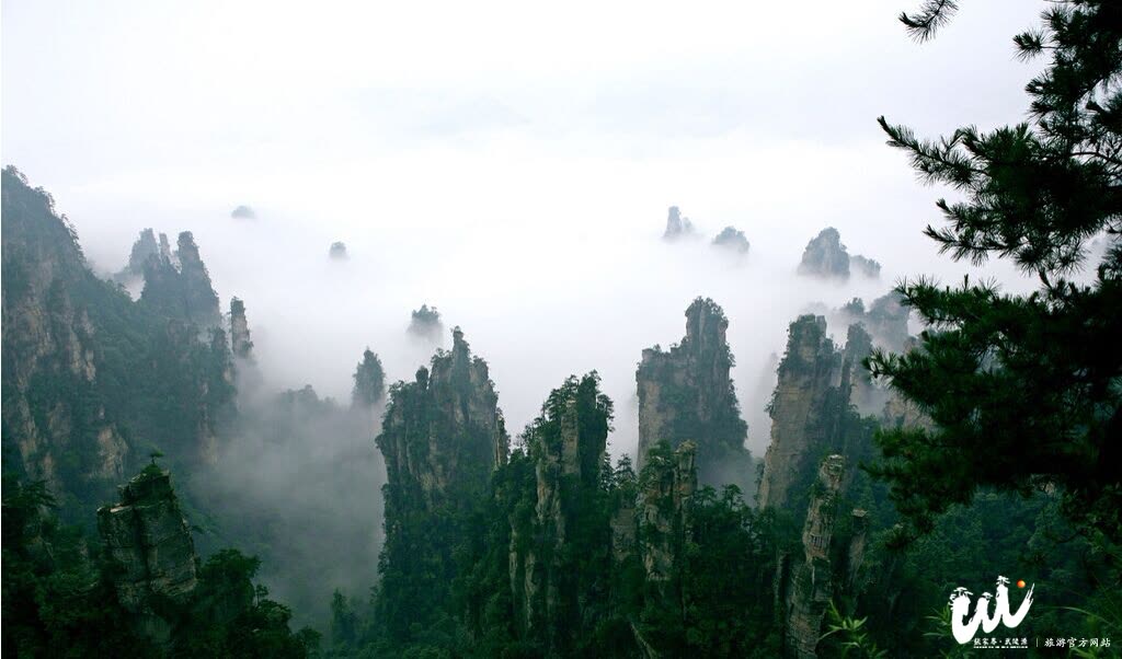 "Rapat Zhuge" Kumpulkan "Ide Emas" Promosi Media Pariwisata Zhangjiajie