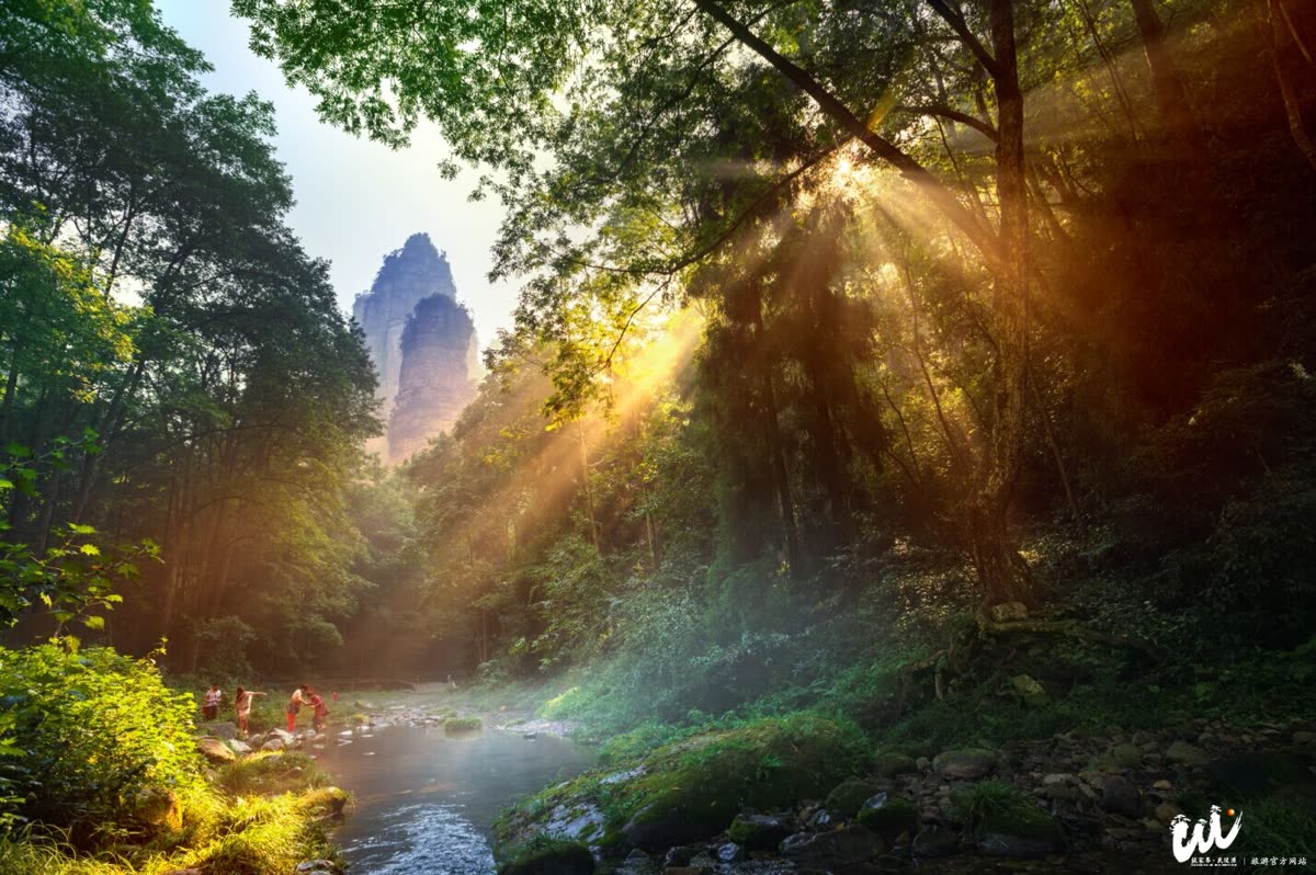 Biro Pariwisata dan Luar Negeri Distrik Wulingyuan Kota Zhangjiajie menyusun rute wisata merek warisan dunia