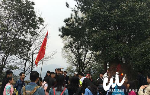 Liburan pendek Qingming kawasan inti Wulingyuan Zhangjiajie menerima 350 ribu kunjungan wisatawan