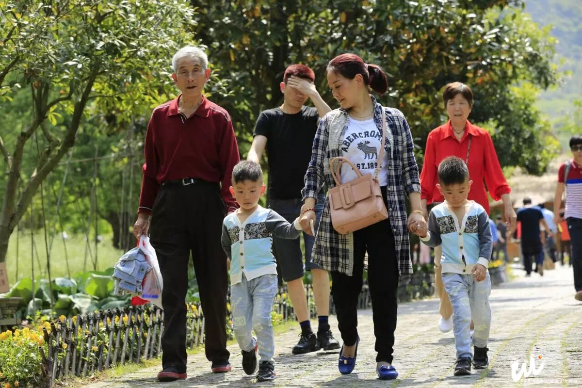 Wulingyuan Zhangjiajie: "Hari Buruh" Sambut Puncak Wisata Tahun Ini