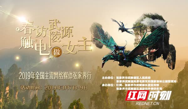 Female journalists from national online media outlets visited Wulingyuan in spring to visit film and television filming locations to celebrate the “Goddess Day”