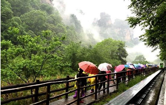 Wulingyuan, Zhangjiajie welcomes heavy rainfall; tourism in various scenic spots is safe