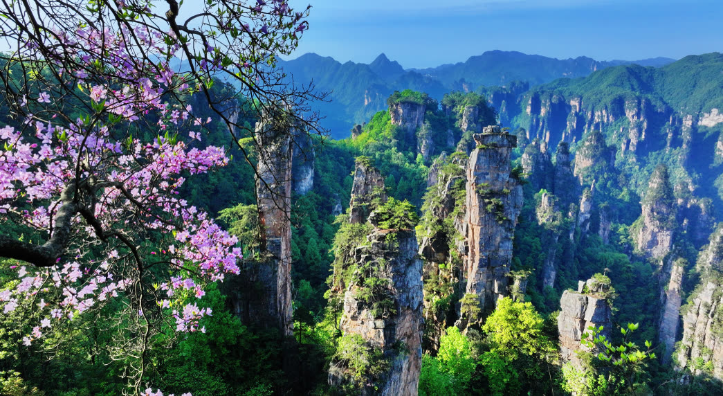 The 2026 5th Zhangjiajie Wulingyuan Global Network Master Promotion Event kicks off!