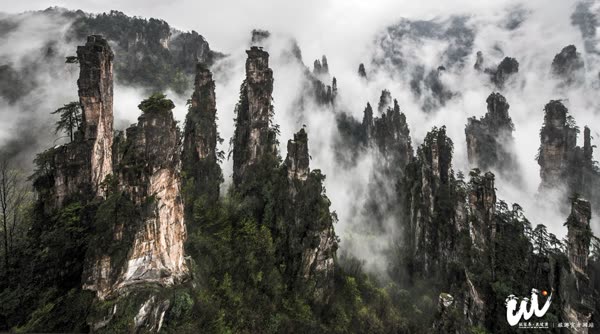مكتب السياحة في منطقة وولينغيوان بمدينة تشانغجيا جيه يكمل بنجاح أعمال ضمان الاستقبال خلال الأسبوع الذهبي
