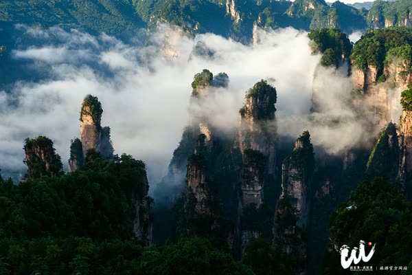 Zhangjiajie Wulingyuan District innovative carrier deepens the construction of "civilized scenic spots"