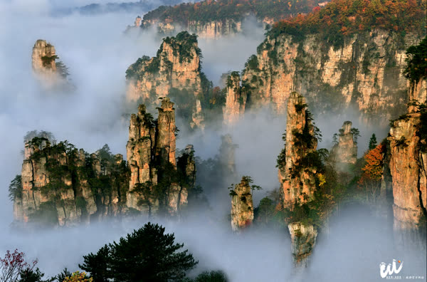 "Hunan Zhangjiajie National Geopark" has been renamed!