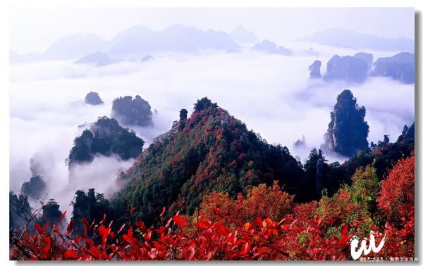 Kaakit-akit at nakamamanghang tanawin ng huling bahagi ng taglagas sa Zhangjiajie Wulingyuan