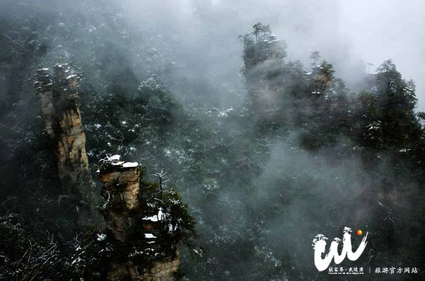 The party building work of Wulingyuan District Tourism and Foreign Affairs Bureau has achieved fruitful results