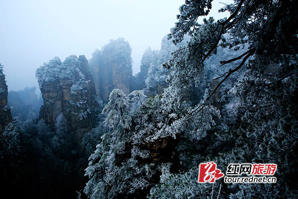 Wulingyuan, the core scenic spot in Zhangjiajie, welcomes snowfall again, like an ink painting (Photos)