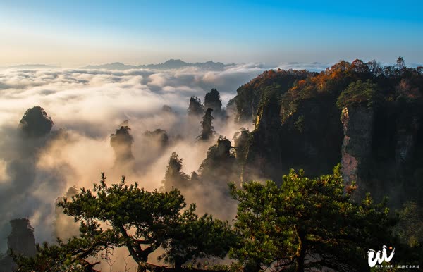 Wulingyuan, Zhangjiajie takes the lead in carrying out civilized tourism public welfare activities