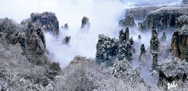 [Travel Safety Reminder] Environmentally friendly vehicles are suspended on some sections of Wulingyuan’s core scenic area due to freezing conditions