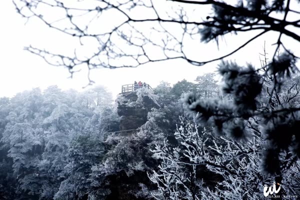 Wulingyuan, Zhangjiajie: The ice and snow peaks are so beautiful