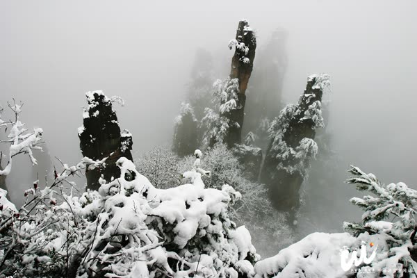 Kawasan inti Zhangjiajie Wulingyuan penerimaan pekan emas Festival Musim Semi menciptakan rekor baru
