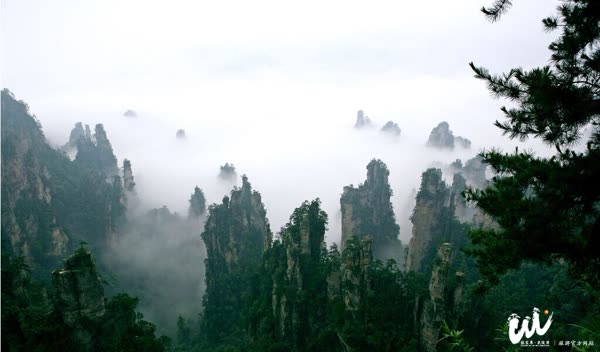 "Rapat Zhuge" Kumpulkan "Ide Emas" Promosi Media Pariwisata Zhangjiajie