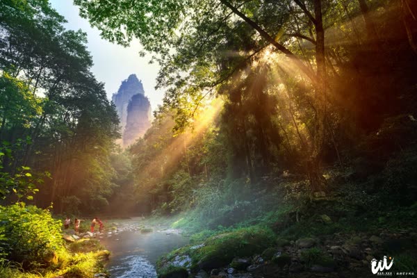 Biro Pariwisata dan Luar Negeri Distrik Wulingyuan Kota Zhangjiajie menyusun rute wisata merek warisan dunia