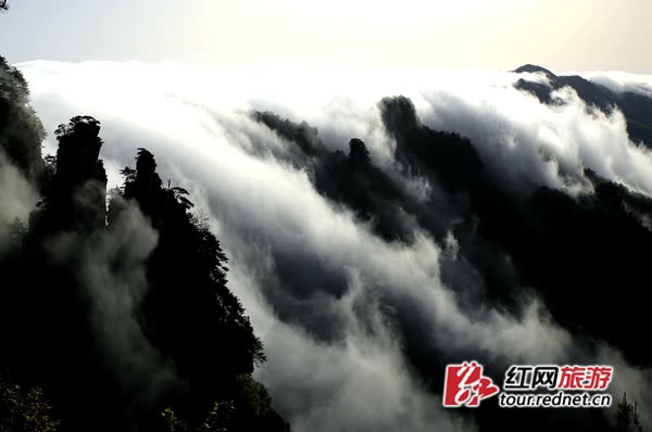 Air terjun awan Wulingyuan Zhangjiajie "hidup": setelah hujan menggeliat seperti Sungai Bima Bima tercurah