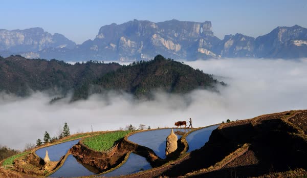 Toerismebureau van het district Wulingyuan in Zhangjiajie houdt ter plaatse kantoor bij de gekoppelde ondersteuningseenheid om problemen op te lossen